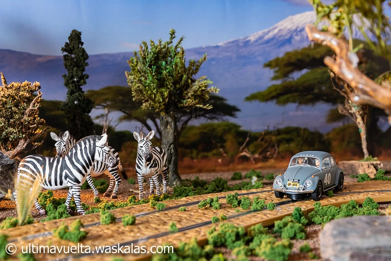 Volkswagen Beetle Rally Safari 1962
