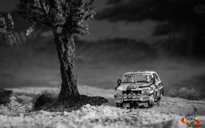Peugeot 504 Rally Safari 1976